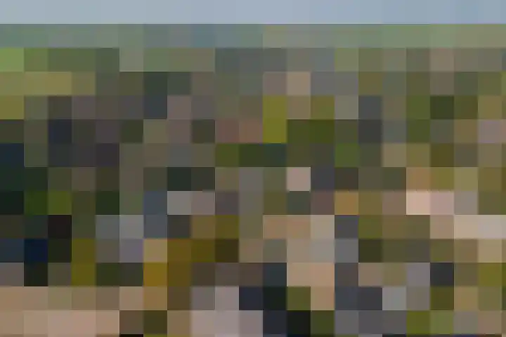 Koningsweg 23 Puiflijk thumbnail 57