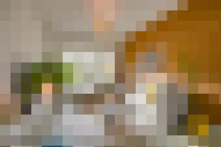 Koningsweg 248 Utrecht thumbnail 15