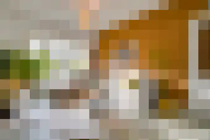 Koningsweg 248 Utrecht thumbnail 16
