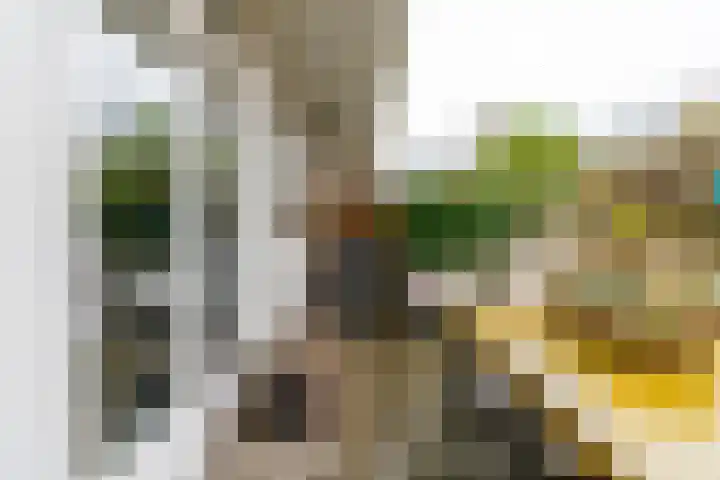 Koningsweg 248 Utrecht thumbnail 24