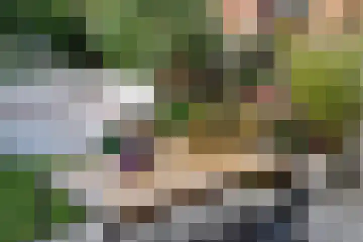 Koningsweg 248 Utrecht thumbnail 29