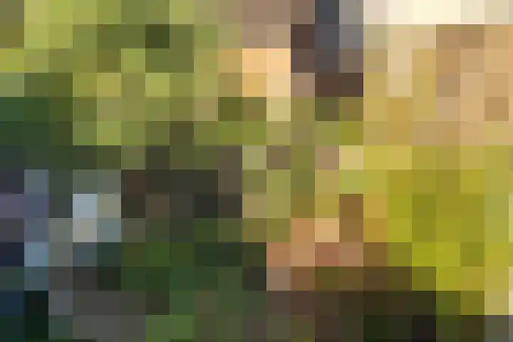 Koningsweg 248 Utrecht thumbnail 30
