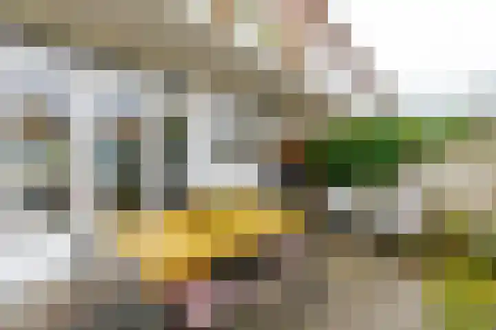 Koningsweg 248 Utrecht thumbnail 33
