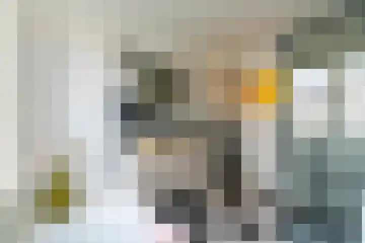 Koningsweg 248 Utrecht thumbnail 4