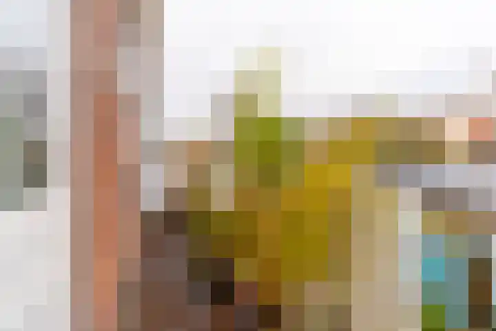 Koningsweg 248 Utrecht thumbnail 42