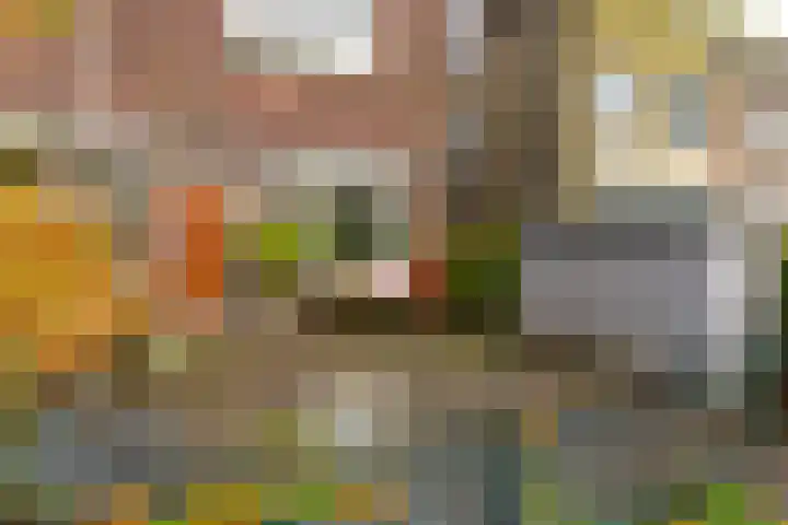 Koningsweg 248 Utrecht thumbnail 5
