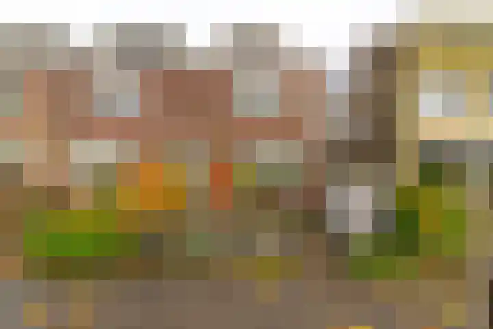 Koningsweg 248 Utrecht thumbnail 55