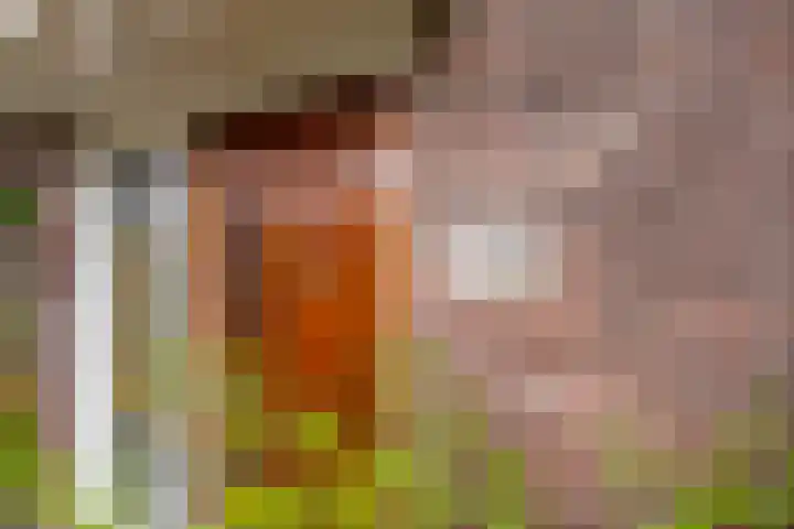 Koningsweg 248 Utrecht thumbnail 6