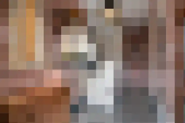 Koningsweg 248 Utrecht thumbnail 8