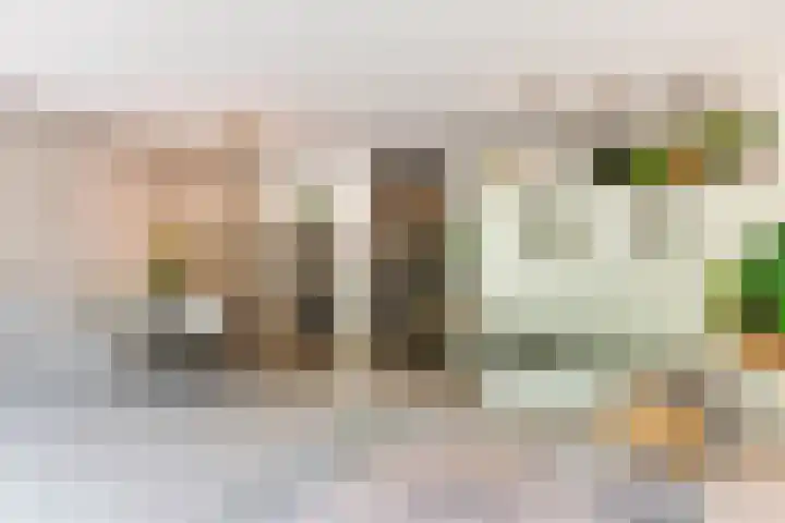 Koningsweg 29 Alkmaar thumbnail 11