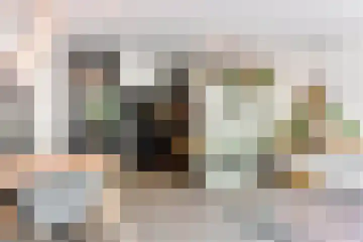 Koningsweg 29 Alkmaar thumbnail 12