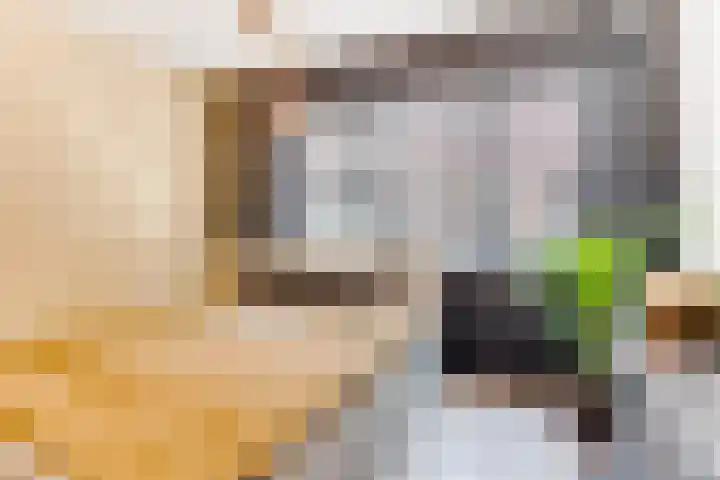 Koningsweg 29 Alkmaar thumbnail 21