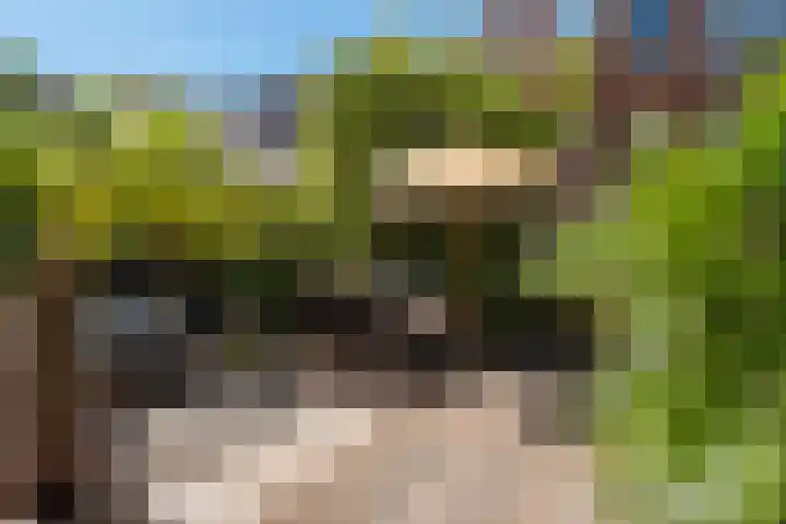 Koningsweg 29 Alkmaar thumbnail 32