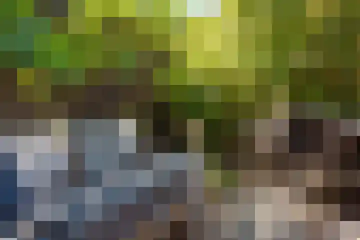Koningsweg 29 Alkmaar thumbnail 33