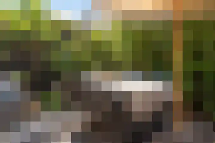 Koningsweg 29 Alkmaar thumbnail 34