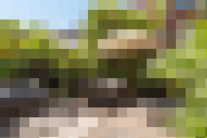 Koningsweg 29 Alkmaar thumbnail 35