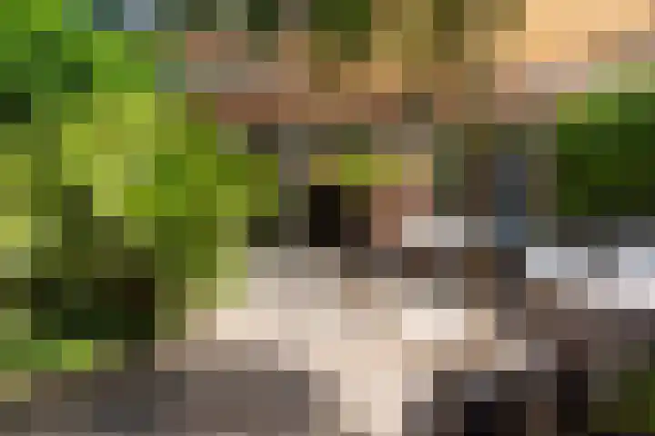 Koningsweg 29 Alkmaar thumbnail 36
