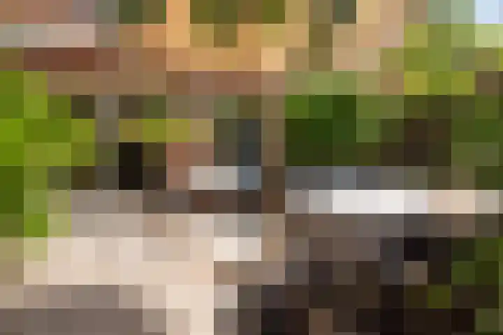 Koningsweg 29 Alkmaar thumbnail 37