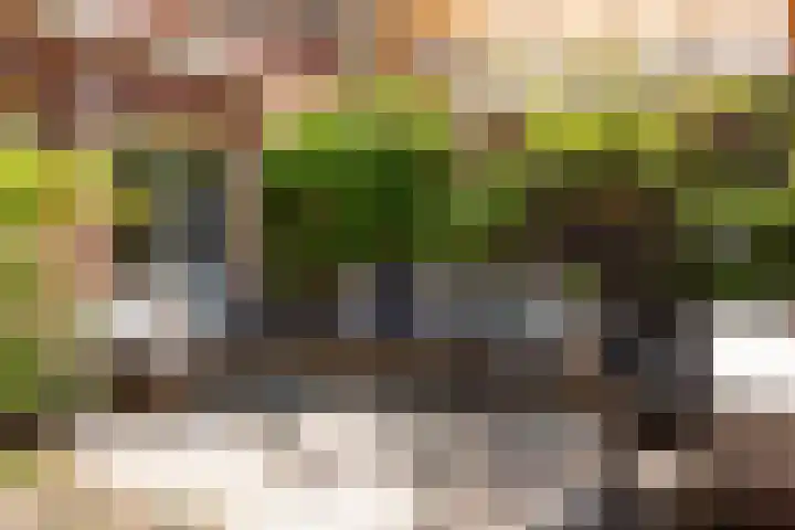 Koningsweg 29 Alkmaar thumbnail 38