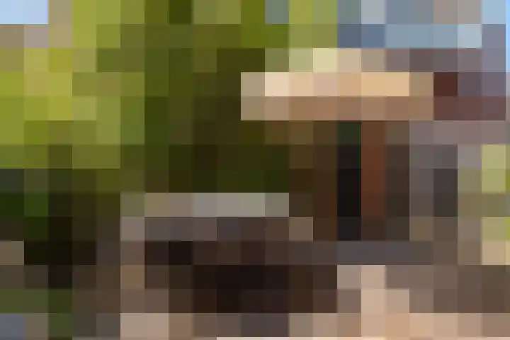 Koningsweg 29 Alkmaar thumbnail 39