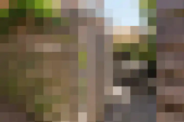 Koningsweg 29 Alkmaar thumbnail 40