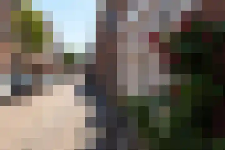 Koningsweg 29 Alkmaar thumbnail 44