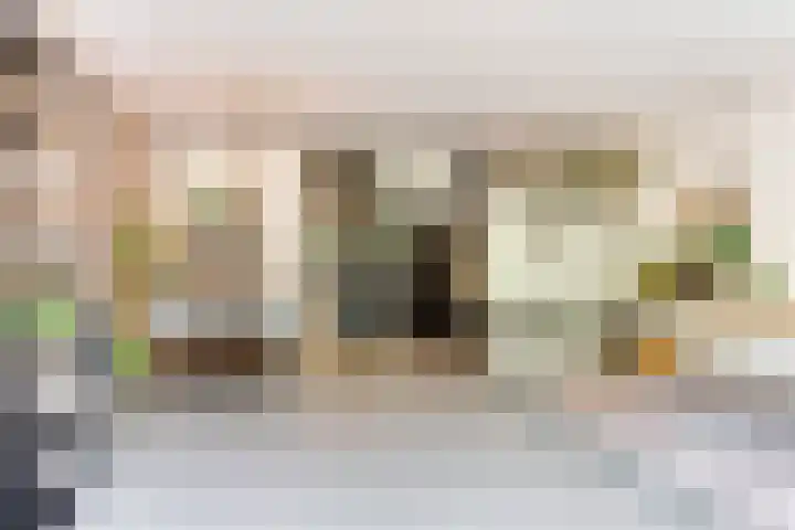 Koningsweg 29 Alkmaar thumbnail 5