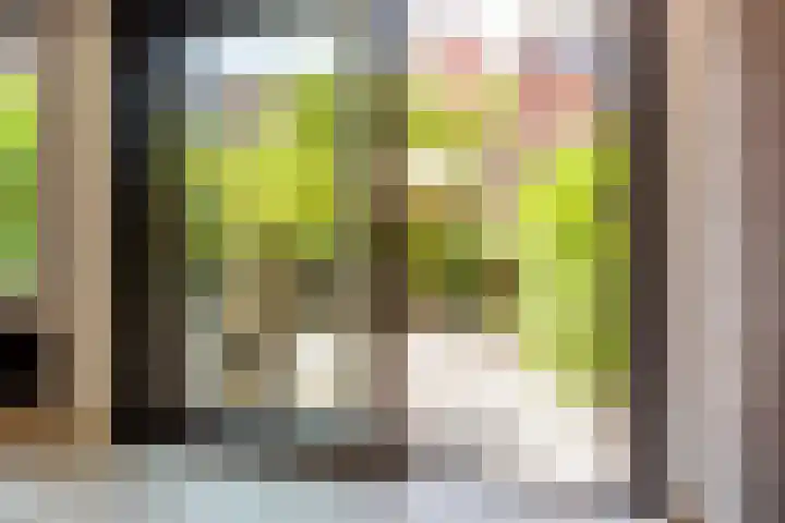 Koningsweg 29 Alkmaar thumbnail 8
