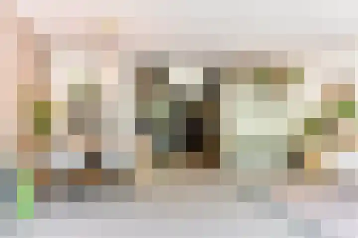 Koningsweg 29 Alkmaar thumbnail 9