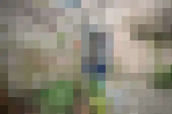 Koningsweg 29 Utrecht thumbnail 22