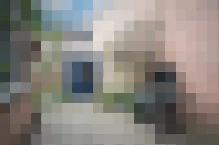 Koningsweg 29 Utrecht thumbnail 23