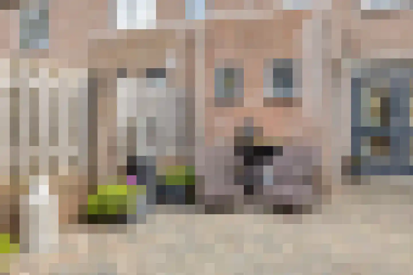 Koningsweg 3 a dans Geldermalsen