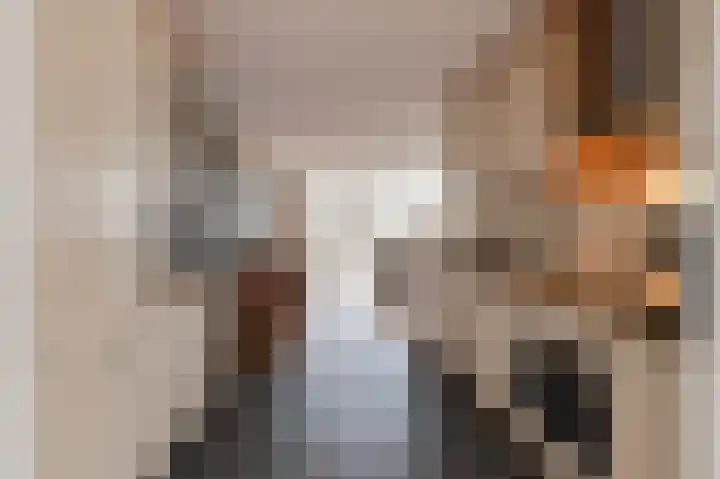 Koningsweg 3 a Geldermalsen thumbnail 19