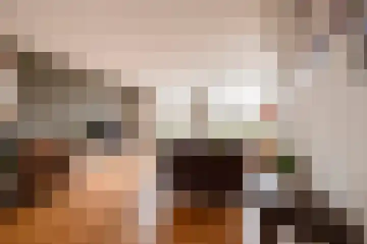 Koningsweg 3 a Geldermalsen thumbnail 21
