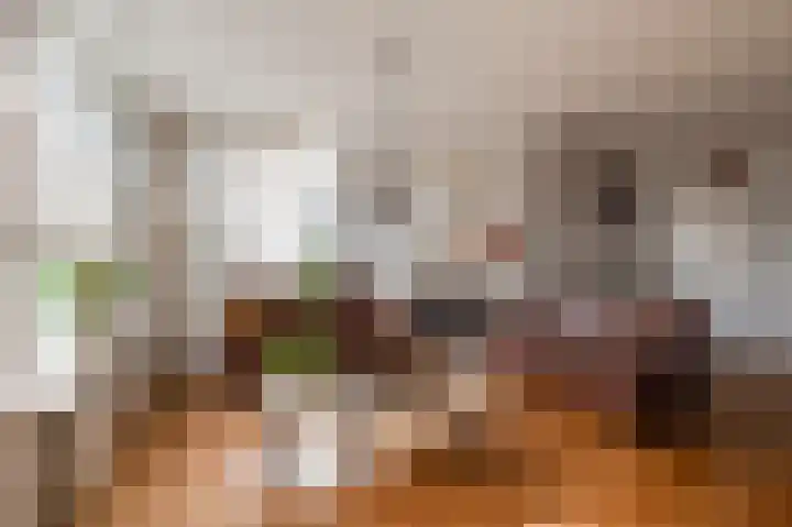 Koningsweg 3 a Geldermalsen thumbnail 23