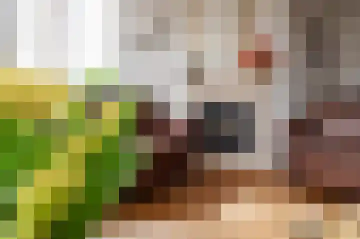 Koningsweg 3 a Geldermalsen thumbnail 24