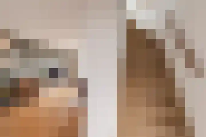 Koningsweg 3 a Geldermalsen thumbnail 30