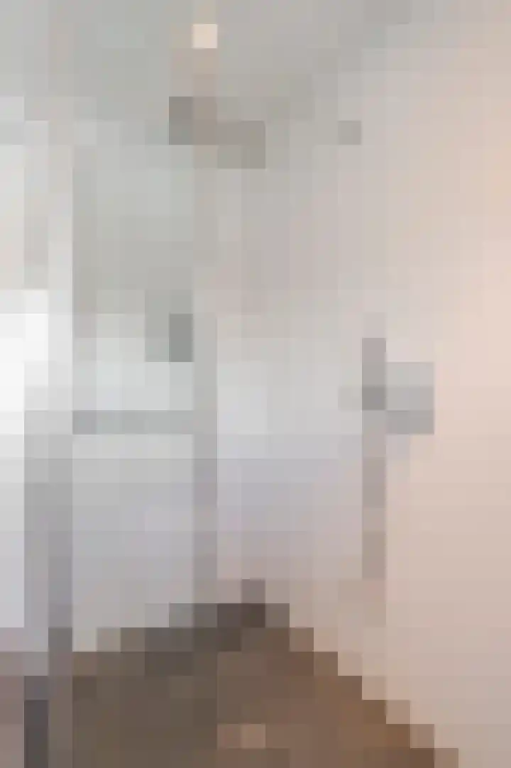 Koningsweg 3 a Geldermalsen thumbnail 35