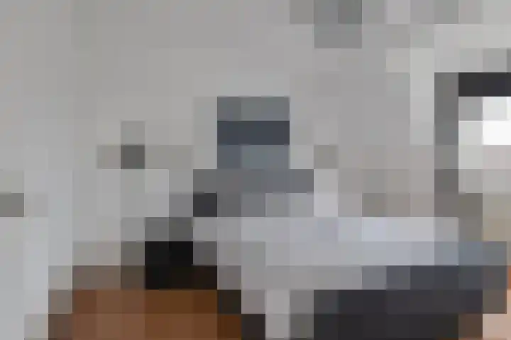 Koningsweg 3 a Geldermalsen thumbnail 37