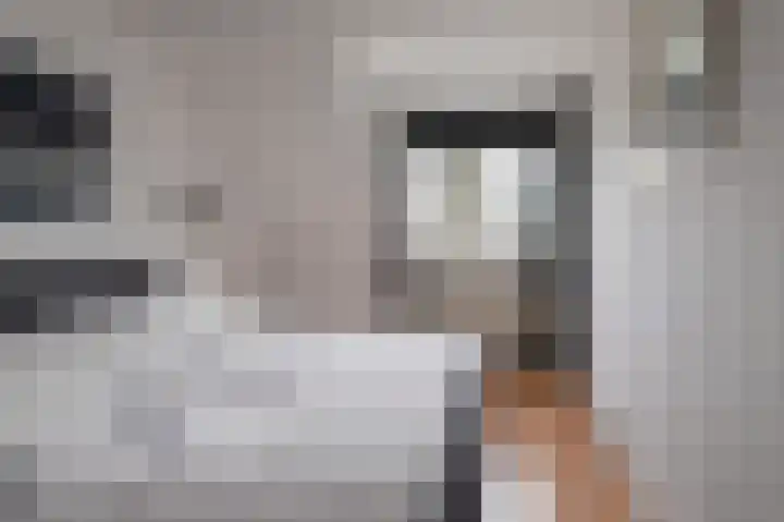 Koningsweg 3 a Geldermalsen thumbnail 38