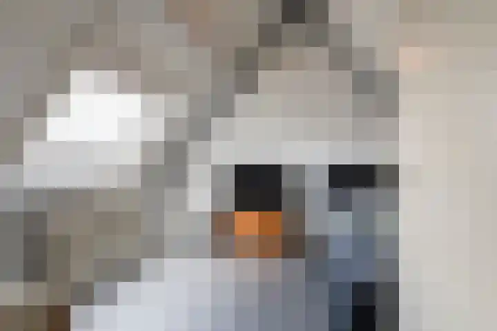 Koningsweg 3 a Geldermalsen thumbnail 42