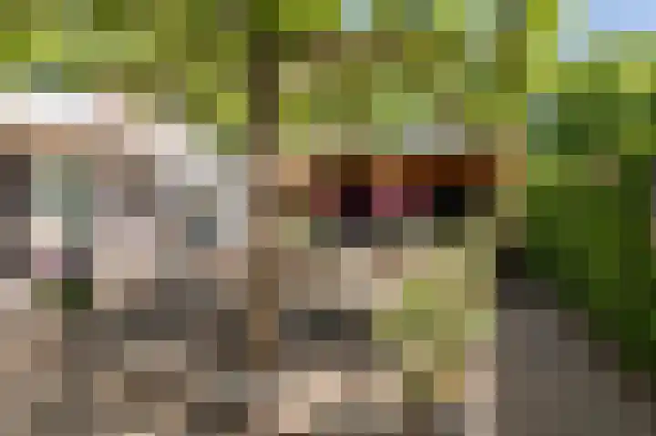Koningsweg 3 a Geldermalsen thumbnail 45