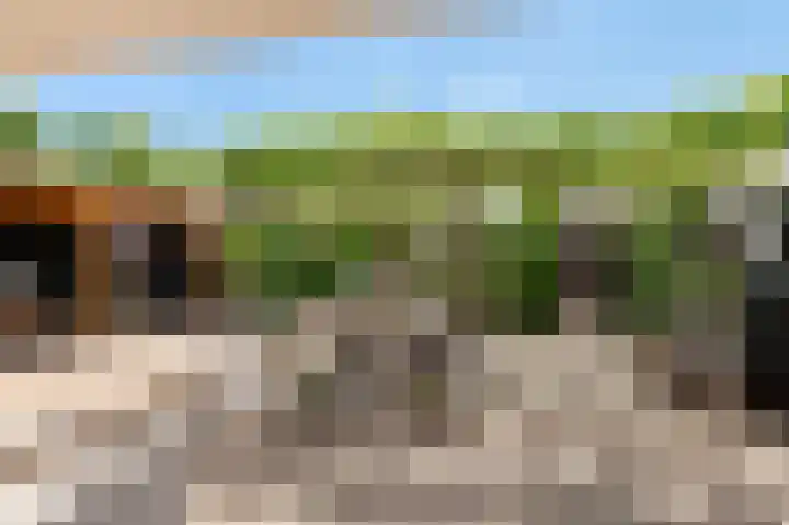 Koningsweg 3 a Geldermalsen thumbnail 46