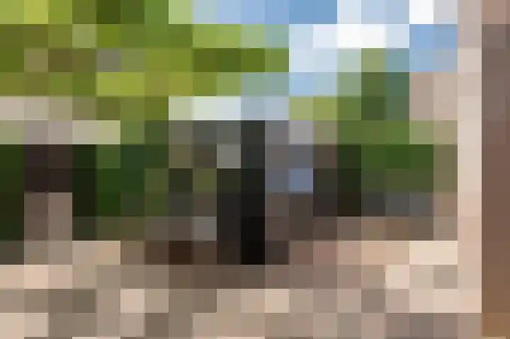Koningsweg 3 a Geldermalsen thumbnail 47