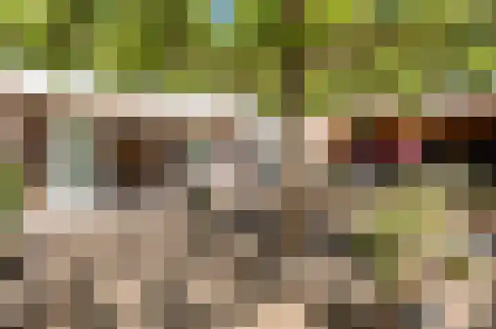 Koningsweg 3 a Geldermalsen thumbnail 5