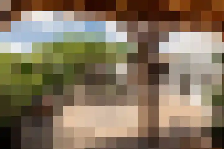 Koningsweg 3 a Geldermalsen thumbnail 51