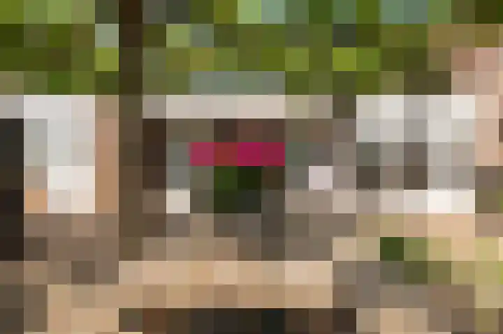 Koningsweg 3 a Geldermalsen thumbnail 55