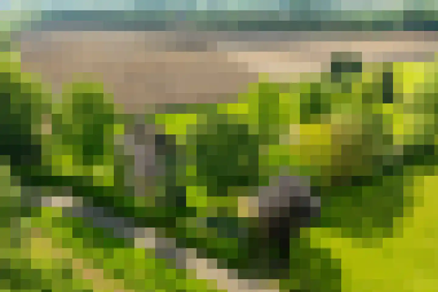 Koningsweg 3 Hengelo (Gld) thumbnail 15