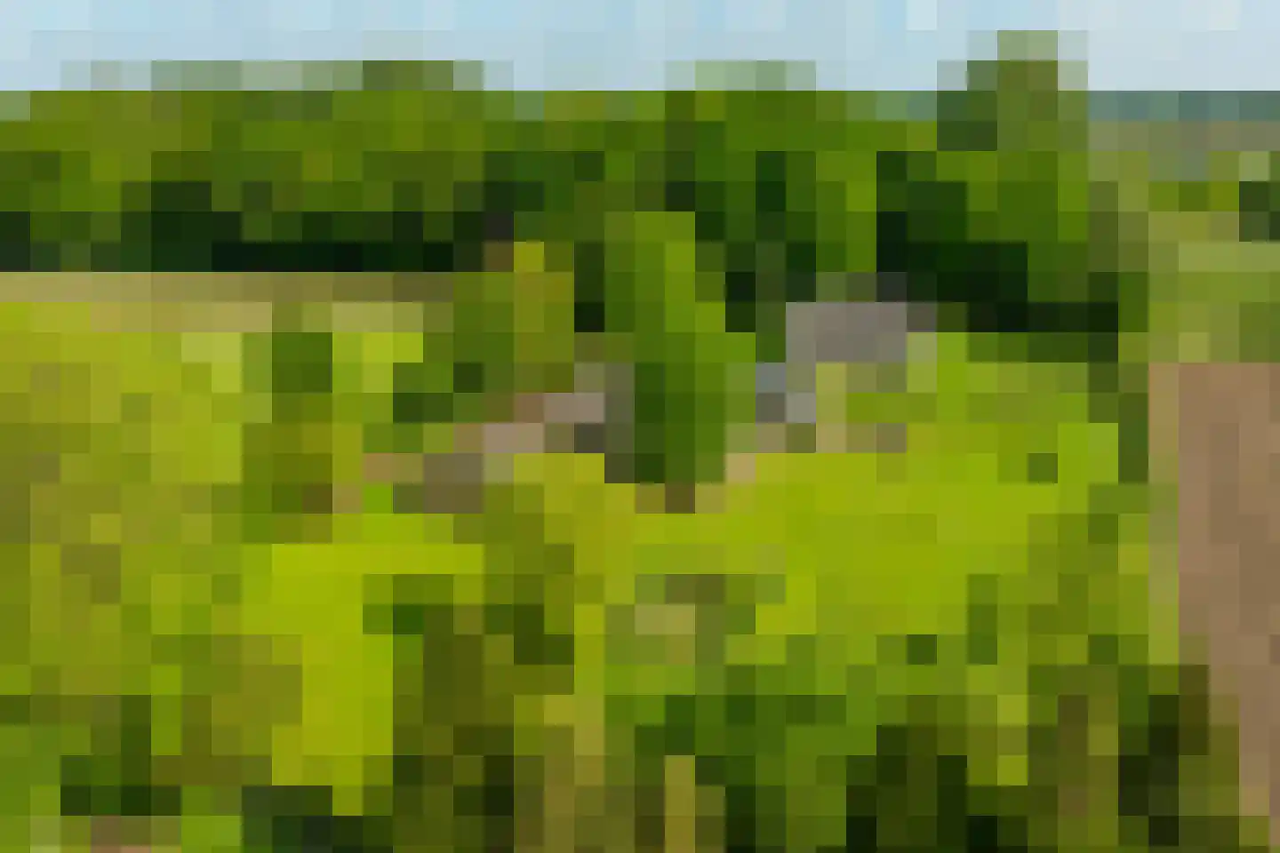 Koningsweg 3 Hengelo (Gld) thumbnail 18
