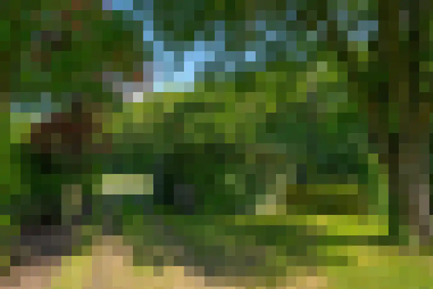 Koningsweg 3 Hengelo (Gld) thumbnail 19